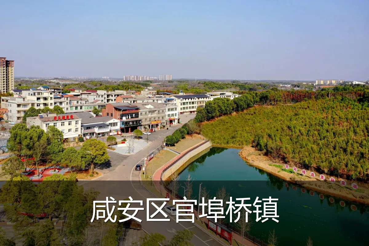 咸安区官埠桥镇