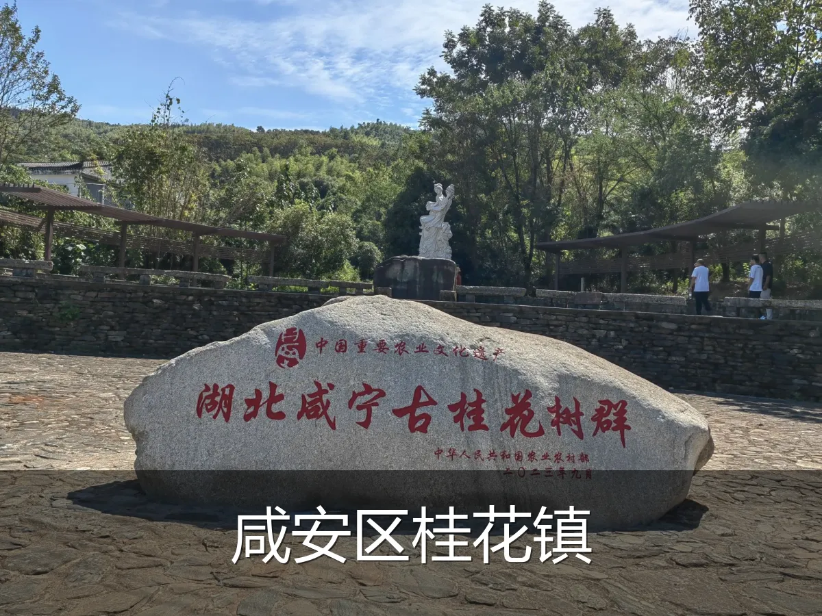 咸安区桂花镇